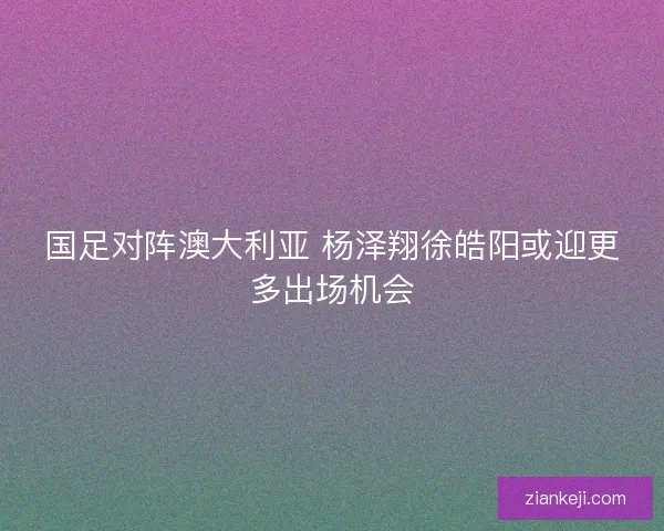 国足对阵澳大利亚 杨泽翔徐皓阳或迎更多出场机会